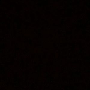 Meet your Posher, Dakota